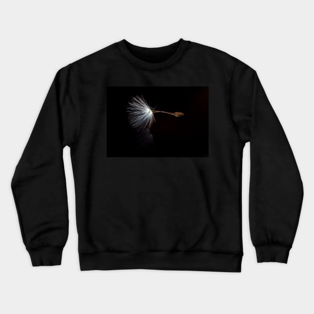 Just Dandy Crewneck Sweatshirt by Withns